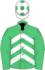 EMERALD GREEN and WHITE CHEVRONS, emerald green sleeves, white cap, emerald green spots