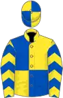 Yellow and royal blue (quartered), chevrons on sleeves, quartered cap