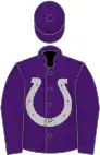 Purple, silver horseshoe, purple cap