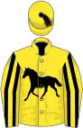 Yellow, black horse, yellow sleeves, black stripes, yellow cap, black tassel