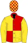 Red and yellow (quartered), yellow sleeves, check cap