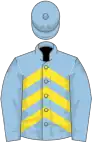 Light blue, yellow chevrons on body