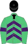 Emerald green, purple chevrons and armlets, black cap