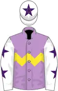 Mauve, yellow chevron hoop, white sleeves, purple stars, white cap, purple star