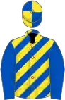 Royal blue and yellow diagonal stripes, royal blue sleeves, quartered cap