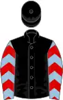 Black, light blue sleeves, red chevrons, black cap