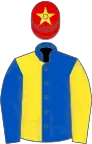 Royal blue and yellow halved, sleeves reversed, red cap, yellow star