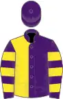 Purple and yellow (halved), hooped sleeves