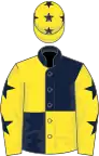 Dark blue and yellow (quartered), yellow sleeves, dark blue stars and stars on cap