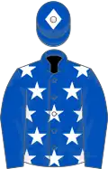 Royal blue, white stars, royal blue sleeves, quartered cap