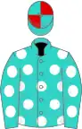 Turquoise, white spots, turquoise and red quartered cap