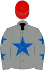 Grey, royal blue star, grey sleeves, royal blue stars, red cap