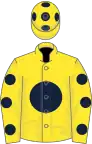 Yellow, dark blue disc, yellow sleeves, dark blue spots, yellow cap, dark blue spots