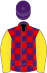 Purple and Red check, Yellow sleeves, Purple cap