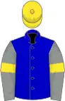 Blue, grey sleeves, yellow armlets and cap