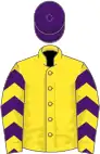 Yellow, purple and yellow chevrons on sleeves, purple cap