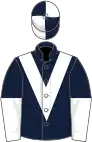 Dark blue, white chevron, halved sleeves, quartered cap