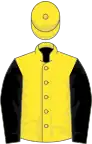 Yellow, black sleeves