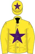 Yellow, purple star and star on cap