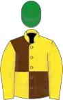 Yellow and brown (quartered), yellow sleeves, green cap