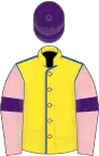 Yellow, royal blue seams, pink sleeves, purple armlets, purple cap