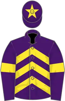 Purple, yellow chevrons, armlets and star on cap