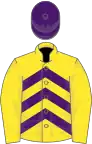 Yellow and purple chevrons, yellow sleeves, purple cap