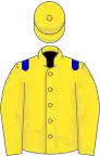 Yellow, blue epaulets