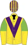 Yellow, purple chevron, light green and yellow halved sleeves, purple and yellow striped cap