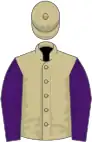 Beige, purple sleeves