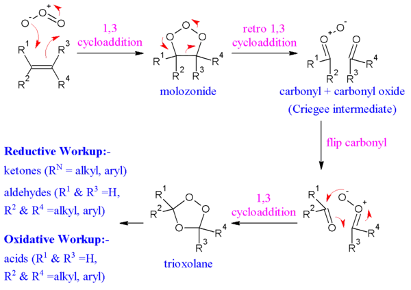 The reaction mechanism of ozonolysis.