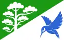 Flag of Põlva Parish