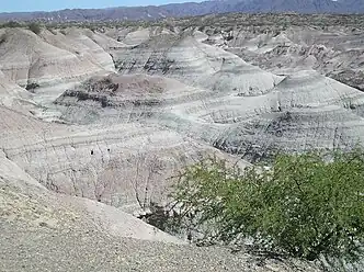 Water-eroded badlands