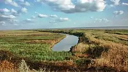 Azov reed bed, Kanevskoy District