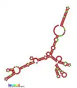 P17:  Secondary structure taken from the Rfam database. Family RF01670