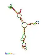 P20:  Secondary structure taken from the Rfam database. Family RF01673