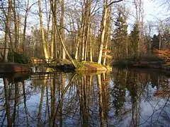 Oelerbeek bij de bruggetjes van Twickel