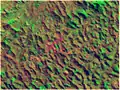 Satellite photo, 1993-06-24, strongly contrasting dense wood covering (green), grass (brown), buildings (purple) and naked land areas (orange)