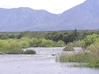 Breede River with Langeberge in the distance.