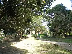 The main park