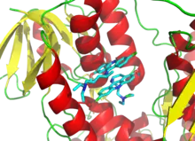 3D cartoon diagram of the trypanothione reductase protein bound to two molecules of inhibitors depicted as a stick diagrams.