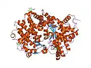 1dmt: STRUCTURE OF HUMAN NEUTRAL ENDOPEPTIDASE COMPLEXED WITH PHOSPHORAMIDON