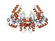 1f0y: L-3-HYDROXYACYL-COA DEHYDROGENASE COMPLEXED WITH ACETOACETYL-COA AND NAD+