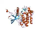 1gag: CRYSTAL STRUCTURE OF THE INSULIN RECEPTOR KINASE IN COMPLEX WITH A BISUBSTRATE INHIBITOR