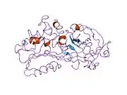 1kct: ALPHA1-ANTITRYPSIN