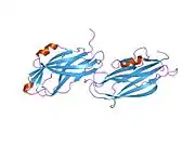 1kmt: Crystal structure of RhoGDI Glu(154,155)Ala mutant