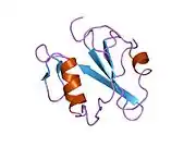 1mil: TRANSFORMING PROTEIN