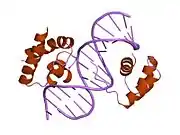 1oct: CRYSTAL STRUCTURE OF THE OCT-1 POU DOMAIN BOUND TO AN OCTAMER SITE: DNA RECOGNITION WITH TETHERED DNA-BINDING MODULES