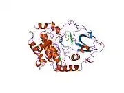 1stc: CAMP-DEPENDENT PROTEIN KINASE, ALPHA-CATALYTIC SUBUNIT IN COMPLEX WITH STAUROSPORINE