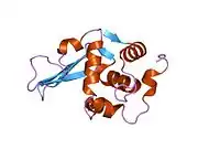 1tay: DISSECTION OF THE FUNCTIONAL ROLE OF STRUCTURAL ELEMENTS OF TYROSINE-63 IN THE CATALYTIC ACTION OF HUMAN LYSOZYME